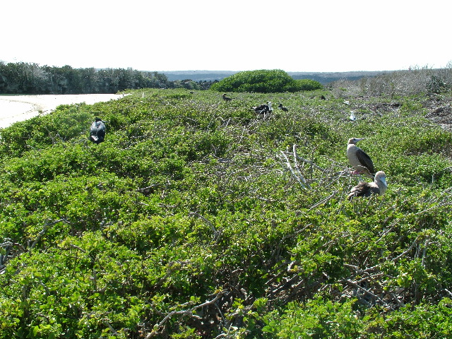 DSCF1263.JPG