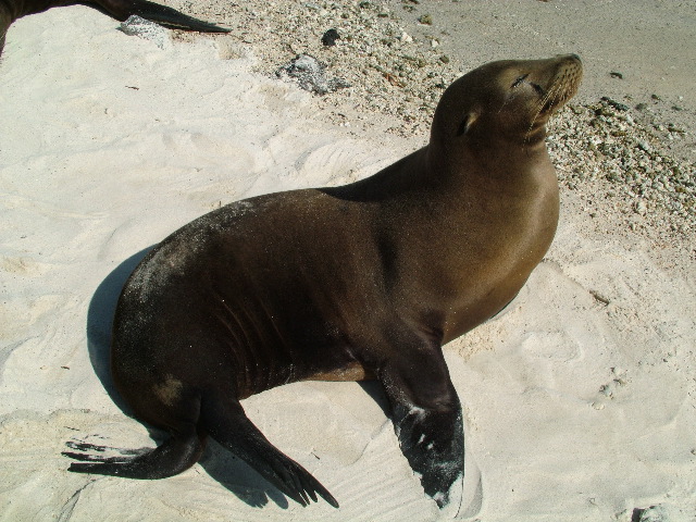 DSCF1264.JPG