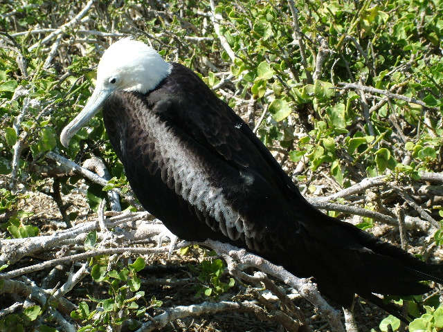 DSCF1266.JPG