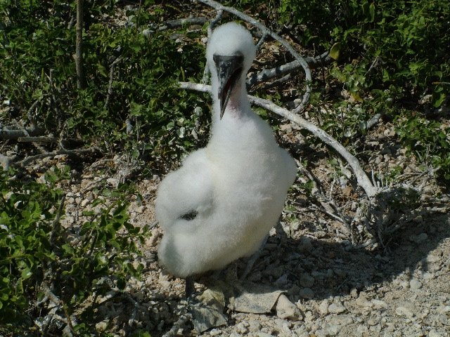 DSCF1270.JPG