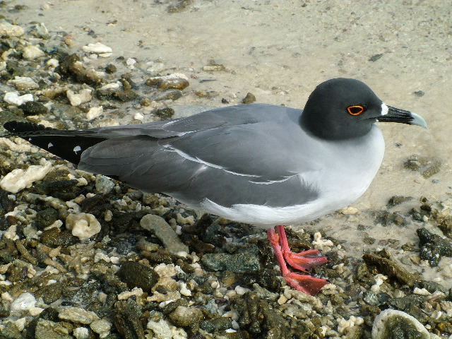 DSCF1275.JPG