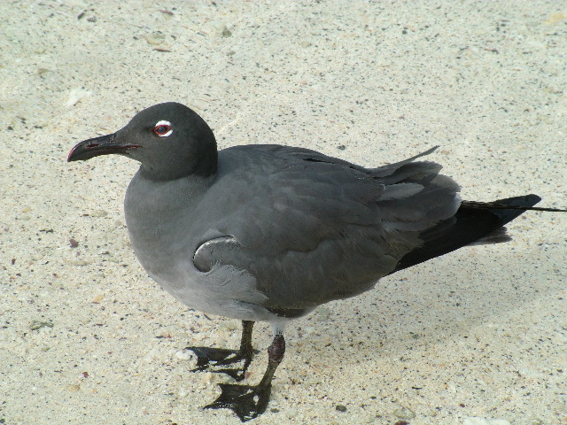 DSCF1277.JPG