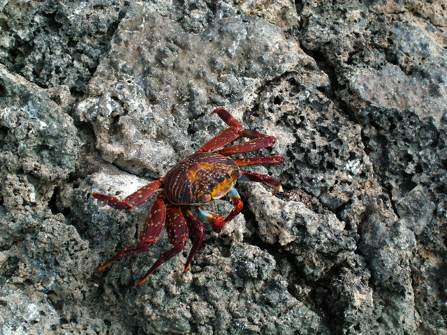 DSCF1279.JPG