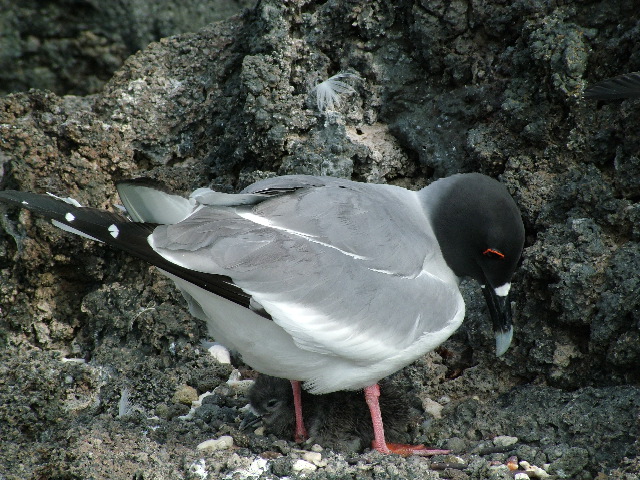 DSCF1282.JPG
