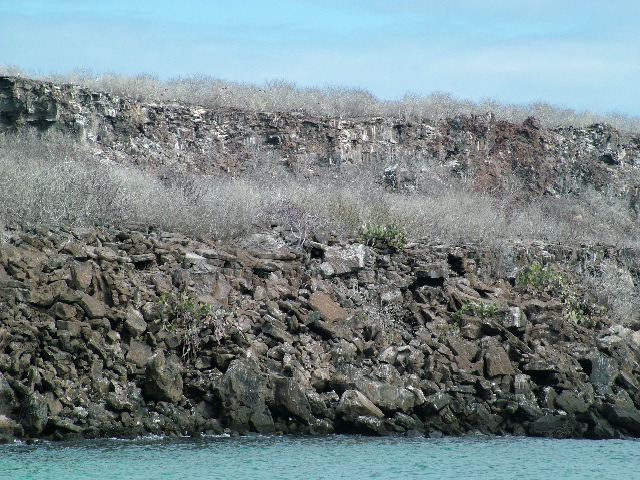 DSCF1284.JPG