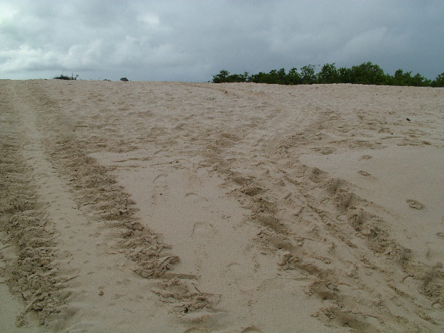 DSCF1288.JPG
