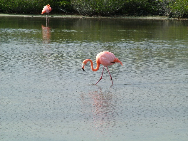 DSCF1298.JPG