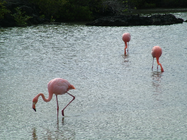 DSCF1303.JPG