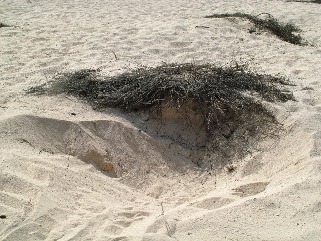 DSCF1307.JPG