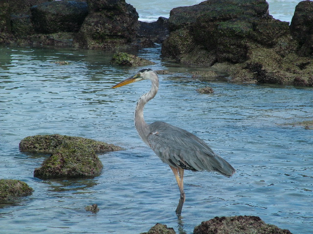 DSCF1309.JPG