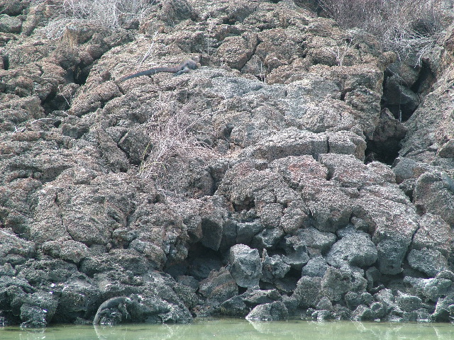 DSCF1317.JPG