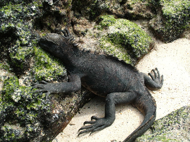 DSCF1320.JPG