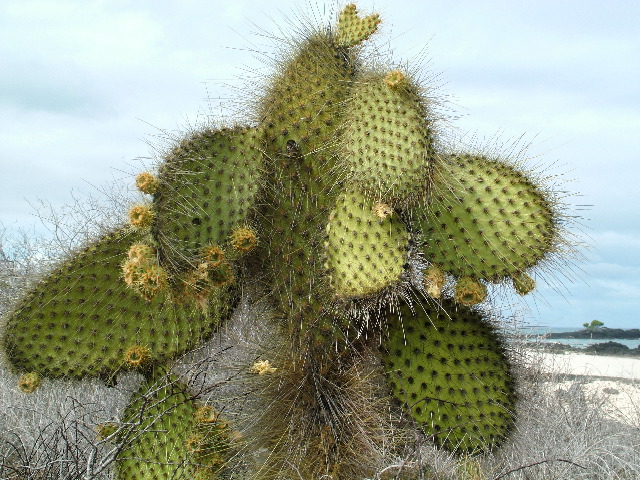 DSCF1321.JPG