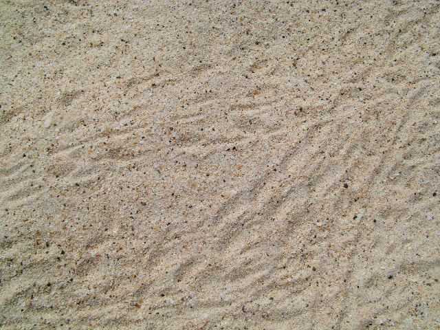 DSCF1322.JPG