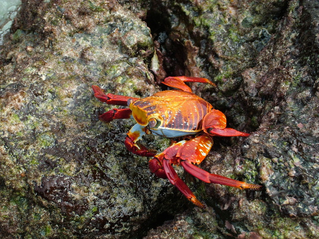 DSCF1325.JPG