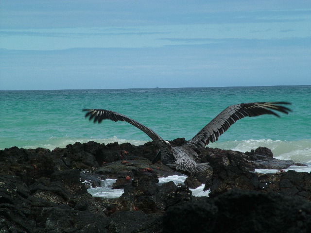 DSCF1329.JPG