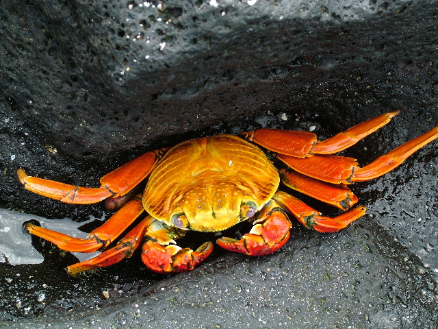 DSCF1335.JPG