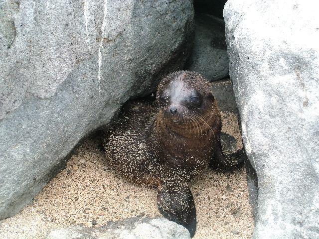 DSCF1346.JPG