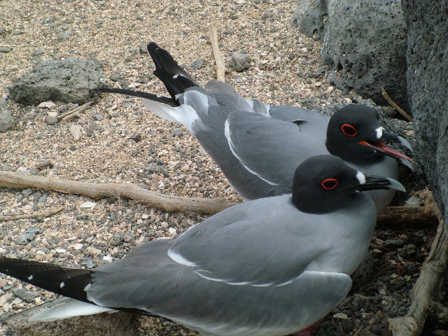 DSCF1347.JPG