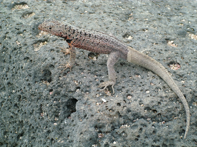 DSCF1352.JPG