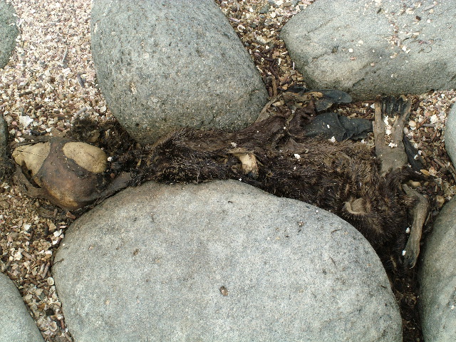 DSCF1359.JPG