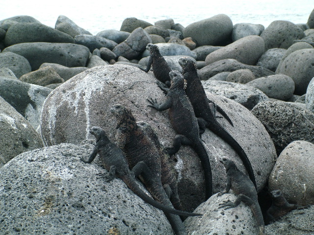 DSCF1362.JPG