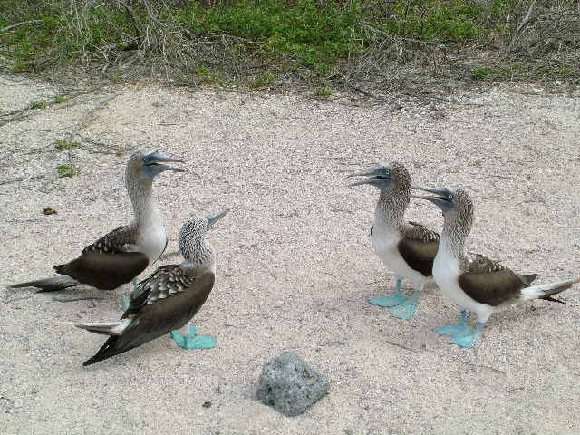 DSCF1367.JPG
