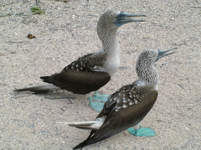 DSCF1368.JPG