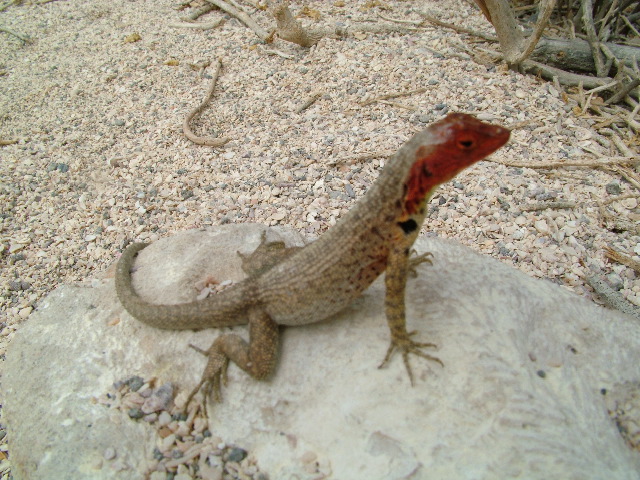 DSCF1373.JPG