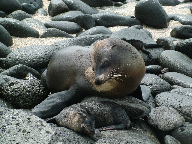 DSCF1376.JPG