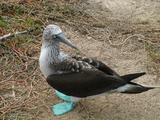 DSCF1383.JPG