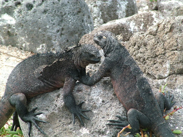 DSCF1385.JPG