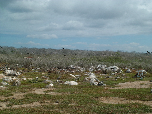 DSCF1387.JPG