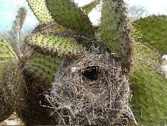 DSCF1395.JPG
