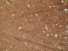 DSCF1396.JPG