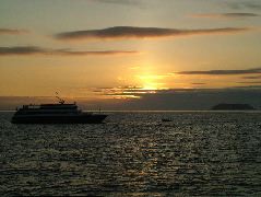 DSCF1406.JPG