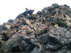 DSCF1414.JPG