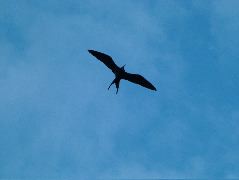 DSCF1416.JPG