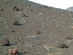 DSCF1419.JPG