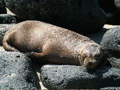 DSCF1179.JPG