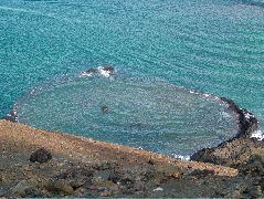 DSCF1435.JPG