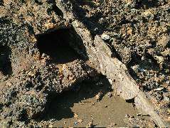 DSCF1444.JPG