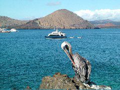 DSCF1448.JPG