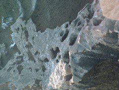 DSCF1459.JPG