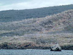 DSCF1466.JPG