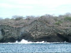 DSCF1470.JPG