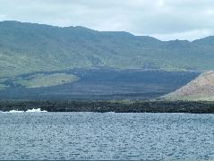 DSCF1471.JPG