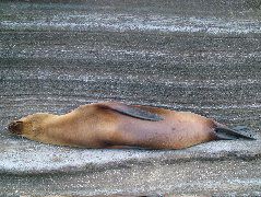 DSCF1472.JPG
