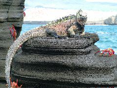 DSCF1478.JPG