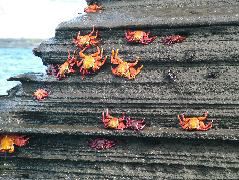 DSCF1480.JPG